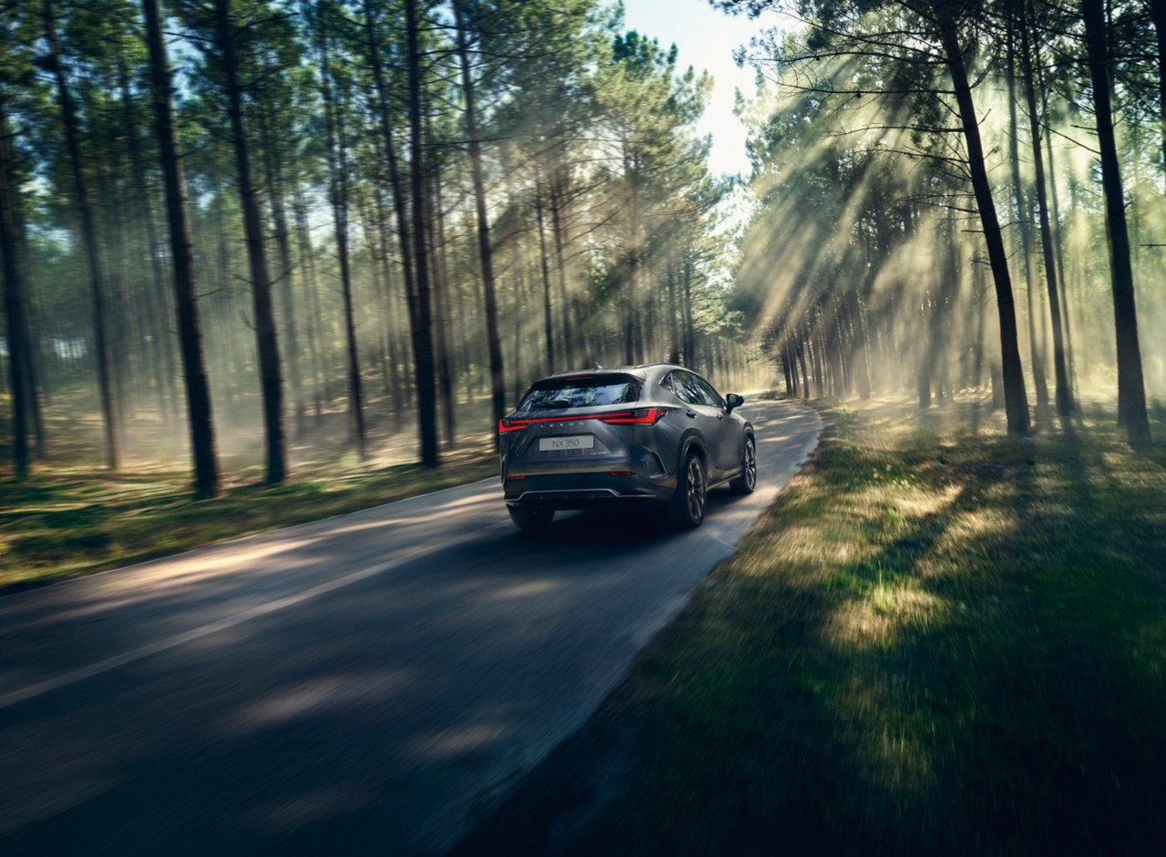 Lexus-exterieur-nx-natuur