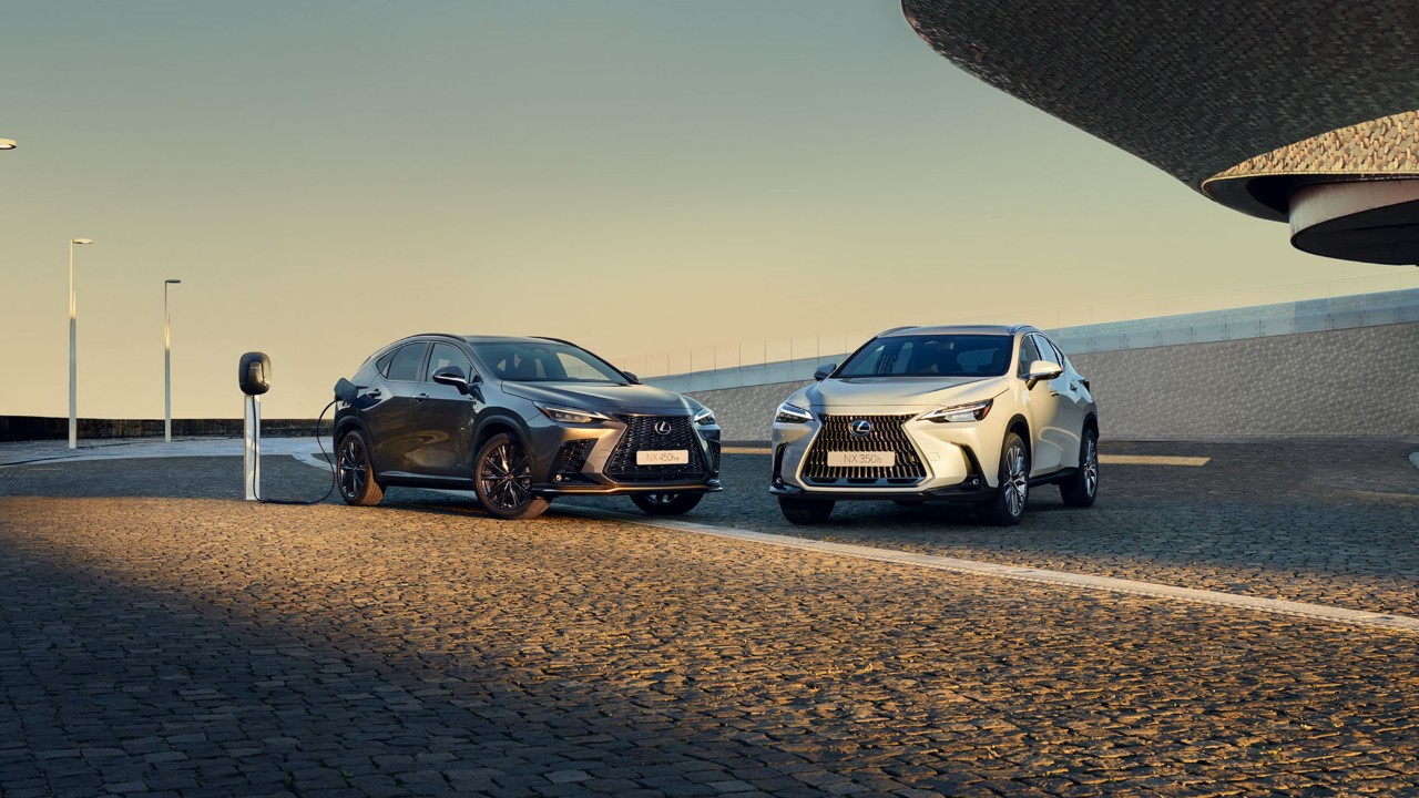 Twee Lexus NX naast elkaar