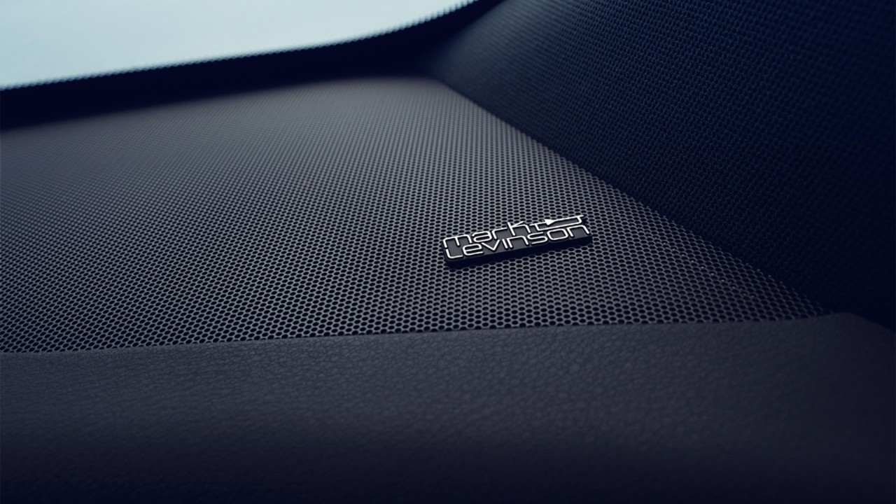 Close-up van een Mark Levinson® luidspreker in de Lexus RZ