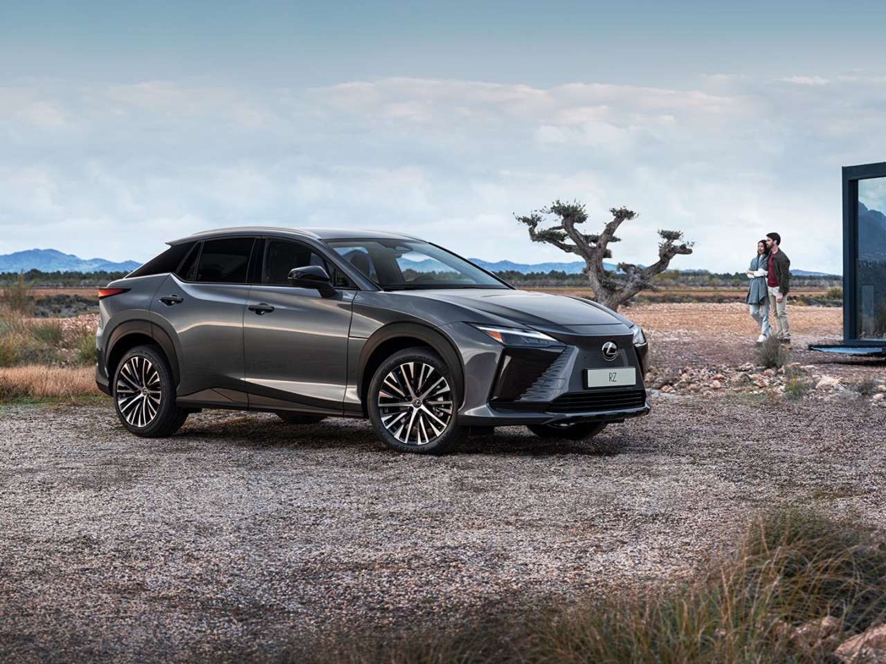 Zijaanzicht van een grijze Lexus RZ