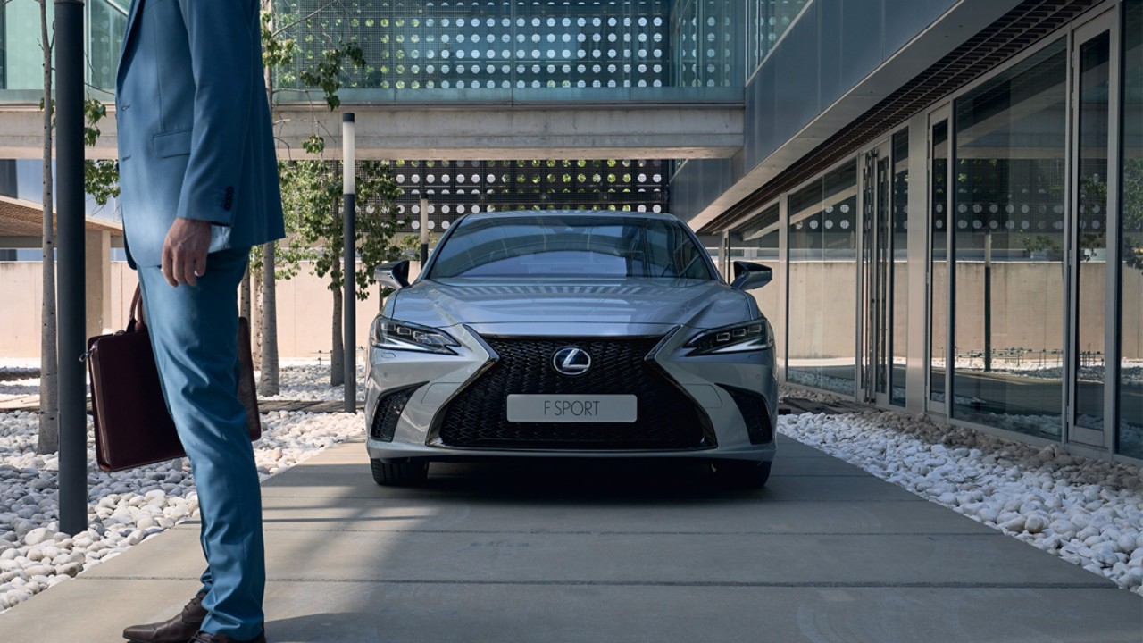 Zijaanzicht van een grijze Lexus UX 250h