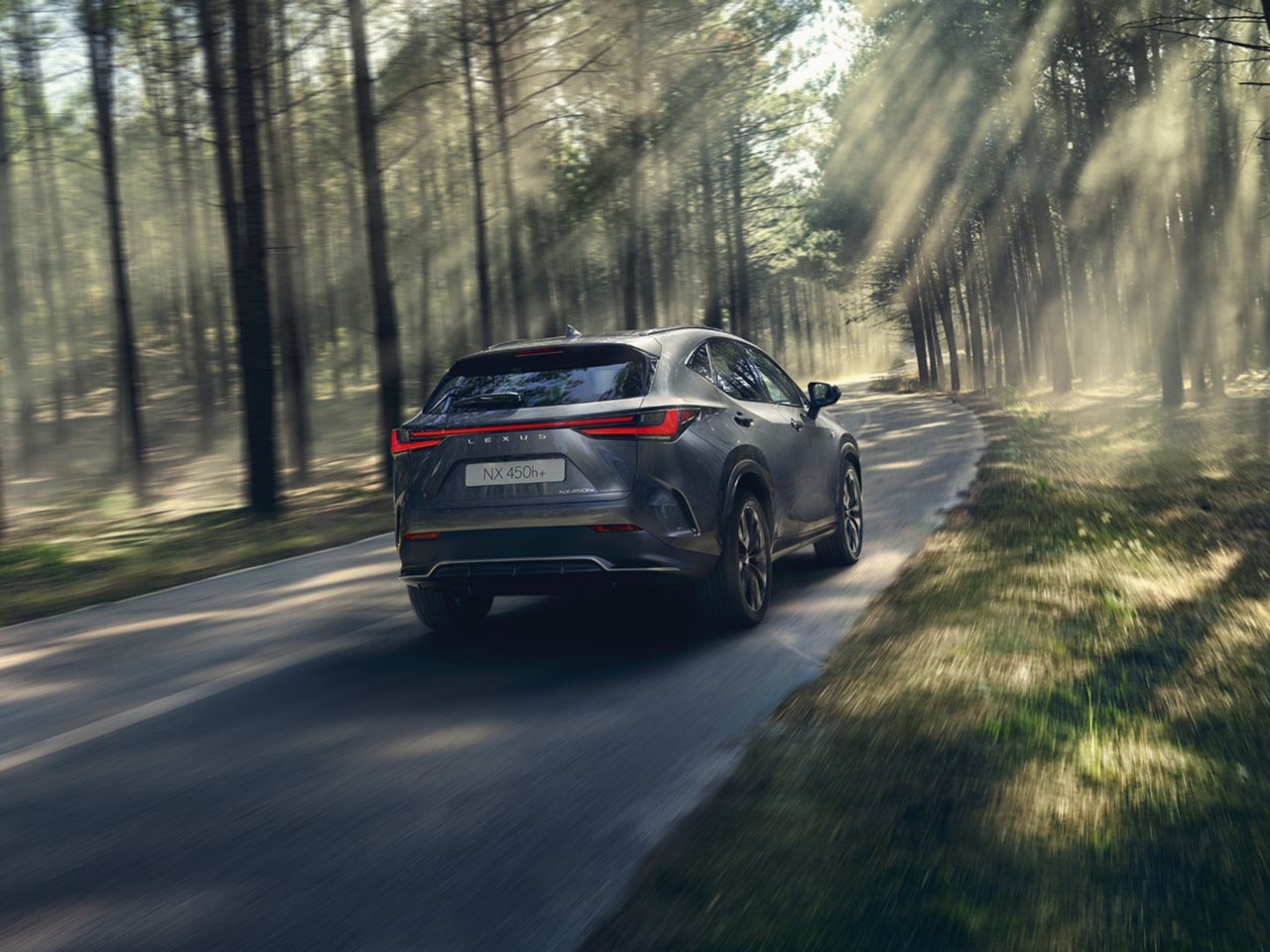 Een Lexus NX 450h+ rijdend door een bosrijke omgeving 