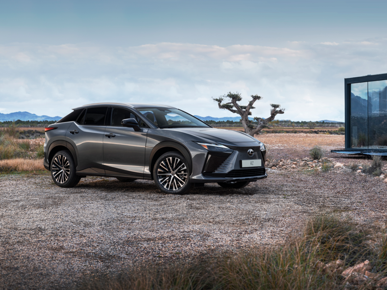 Lexus RZ geparkeerd in een landelijke omgeving