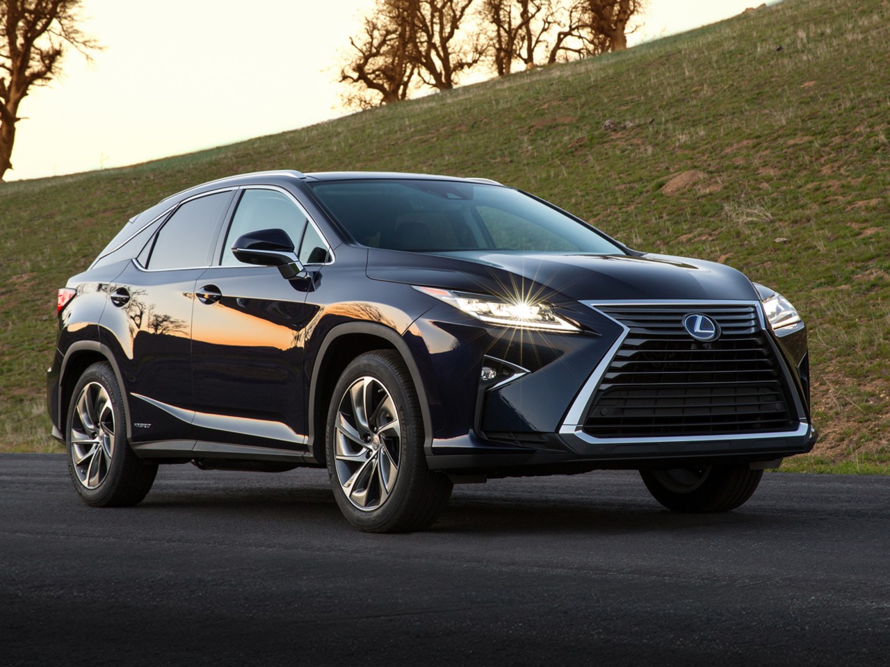 Lexus-RX-450h-exterieur-rechtsvoor-zwart
